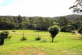 Property photo of 916 Nethercote Road Nethercote NSW 2549