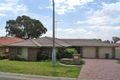 Property photo of 29 Bundeluk Crescent Glenmore Park NSW 2745