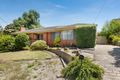 Property photo of 35 Carrol Grove Mount Waverley VIC 3149