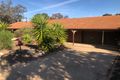 Property photo of 12 Westbrook Avenue Loxton SA 5333