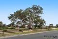 Property photo of 6 Arbour Street Mernda VIC 3754