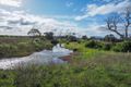 Property photo of 4023 Flinders Highway Wangary SA 5607