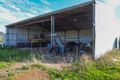 Property photo of 4023 Flinders Highway Wangary SA 5607