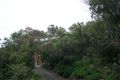 Property photo of 52 Dulconghi Street Crescent Head NSW 2440