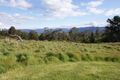 Property photo of 531 Mersey Hill Road Mole Creek TAS 7304