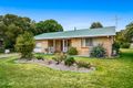 Property photo of 7 Aster Street Pittsworth QLD 4356