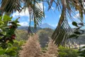 Property photo of 6 Caitlin Place Bli Bli QLD 4560