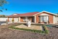 Property photo of 7 Arbequina Road Virginia SA 5120
