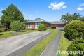 Property photo of 7 McLean Street Drouin VIC 3818