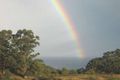 Property photo of 240 Biddles Road Apollo Bay VIC 3233