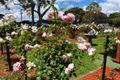 Property photo of 7 Main South Road Drouin VIC 3818