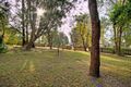 Property photo of 29 The Glen Berkeley Vale NSW 2261