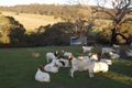 Property photo of 355 Linton-Naringhil Road Linton VIC 3360