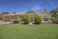 Property photo of 20033 Renmark Avenue Renmark South SA 5341