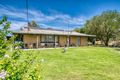 Property photo of 41 Vine Drive Jindera NSW 2642