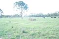 Property photo of LOT 14/250 Owens Scrub Road Leyburn QLD 4365