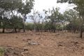 Property photo of 16 Wilga Avenue Oakey QLD 4401