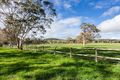 Property photo of 115 Concannon Road Echunga SA 5153