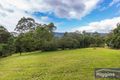 Property photo of 1616 Cawongla Road Larnook NSW 2480