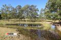 Property photo of 179 Link Road Yarravel NSW 2440