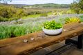 Property photo of 27 Ridgetop Ramble Bindoon WA 6502