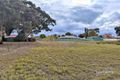 Property photo of 51 Greenock Road Nuriootpa SA 5355