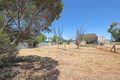 Property photo of 43 Algerian Street Patchewollock VIC 3491