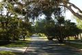 Property photo of 13 Shannon Street Floreat WA 6014