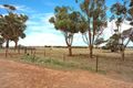Property photo of 323 Deep Creek Road Eudunda SA 5374