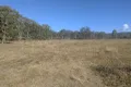 Property photo of LOT 83 Wallers Road Ringwood QLD 4343