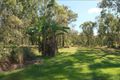 Property photo of 181 San Fernando Drive Worongary QLD 4213