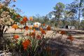 Property photo of 176 Bishops Road Dalysford QLD 4671
