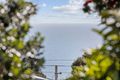 Property photo of 6 Minnipa Drive Hallett Cove SA 5158