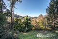 Property photo of 42 Oconnors Road The Patch VIC 3792