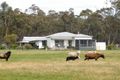 Property photo of 117 Scotts Road Lillicur VIC 3371