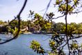 Property photo of 5/8 Thames Street Balmain NSW 2041