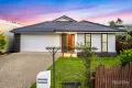 Property photo of 47 Steamer Way Spring Mountain QLD 4300