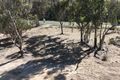 Property photo of 4166 Baradine Road Coonabarabran NSW 2357