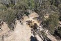 Property photo of 4166 Baradine Road Coonabarabran NSW 2357