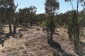 Property photo of 4166 Baradine Road Coonabarabran NSW 2357