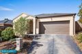 Property photo of 41 Starling Avenue Tarneit VIC 3029