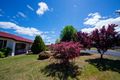 Property photo of 6 Masman Street Coonabarabran NSW 2357