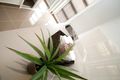 Property photo of 2 Tamarind Road Cranbourne North VIC 3977