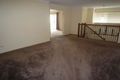 Property photo of 16 Hilas Circuit Sunnybank Hills QLD 4109