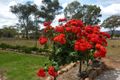 Property photo of 3422 Gundong Road Obley NSW 2868