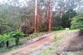 Property photo of 44 The Crescent Sassafras VIC 3787