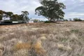 Property photo of Railway Crescent Woomelang VIC 3485
