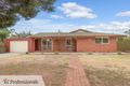 Property photo of 49 Deborah Grove Para Vista SA 5093