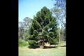 Property photo of 30 Wickham Road Wolffdene QLD 4207