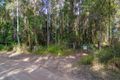 Property photo of 273 Pencil Creek Road Obi Obi QLD 4574